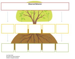 Informal Assessment of Function